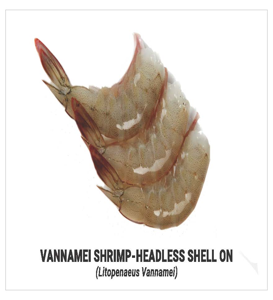 Vannamei Head less shell on