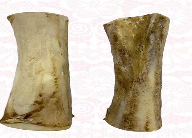 Natural Shin bone
